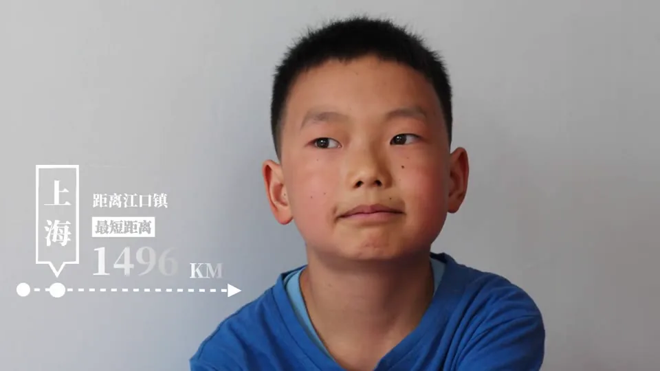 少年哥斯拉视频封面